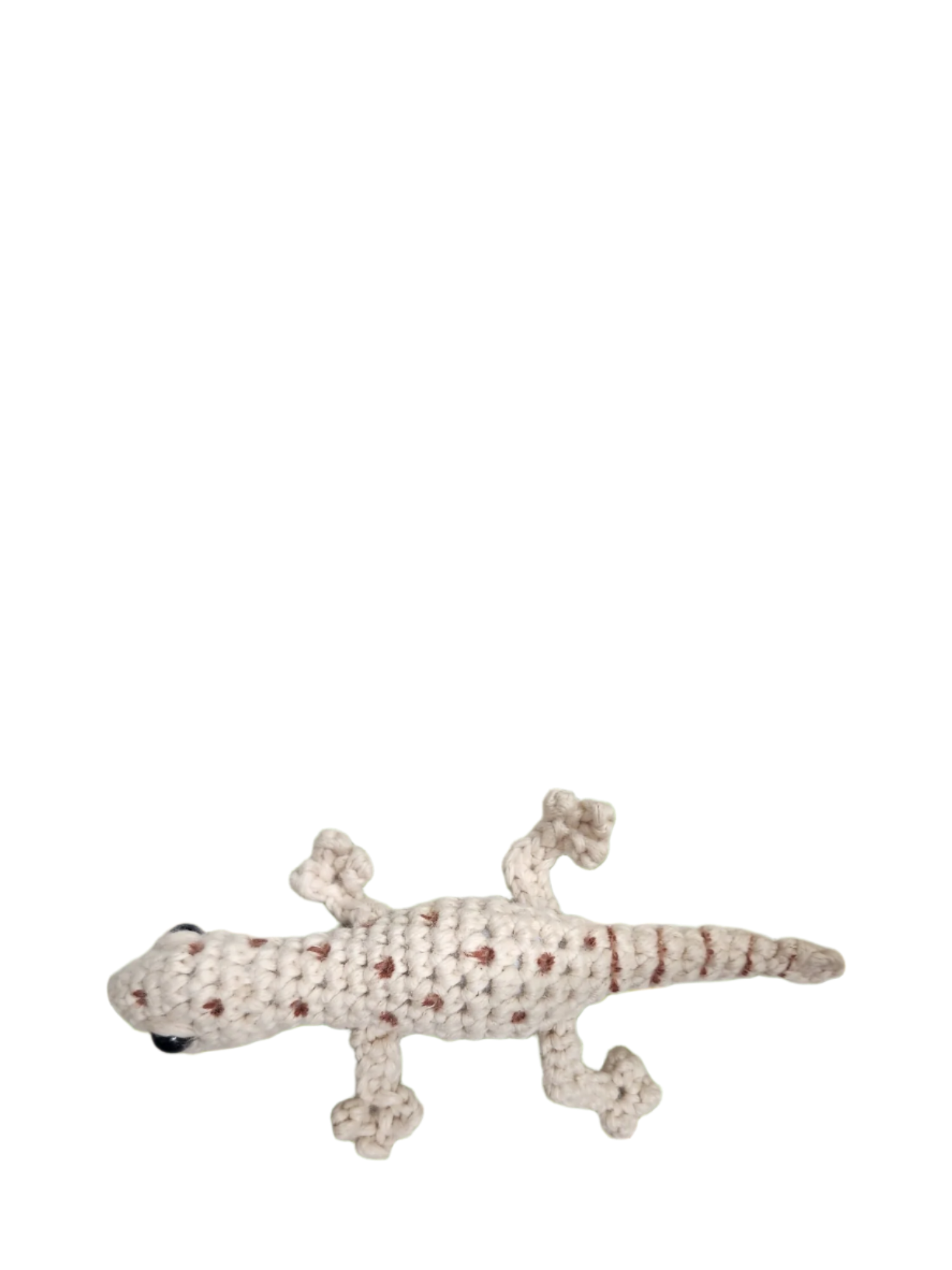 Suzie's Sunshine Dolls - Gary the Gecko