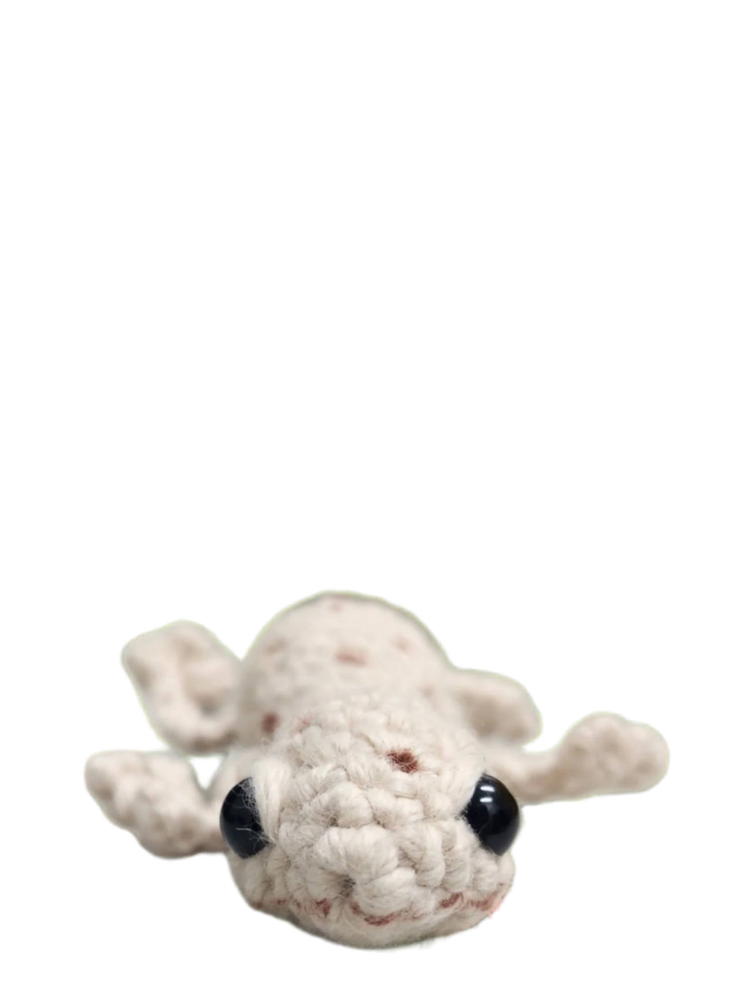 Suzie's Sunshine Dolls - Gary the Gecko