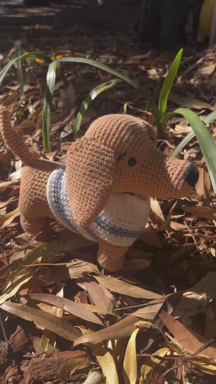 Suzie's Sunshine Dolls - The minature Dashounds