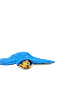 Suzie's Sunshine Dolls - Morris the Mantaray and Friends