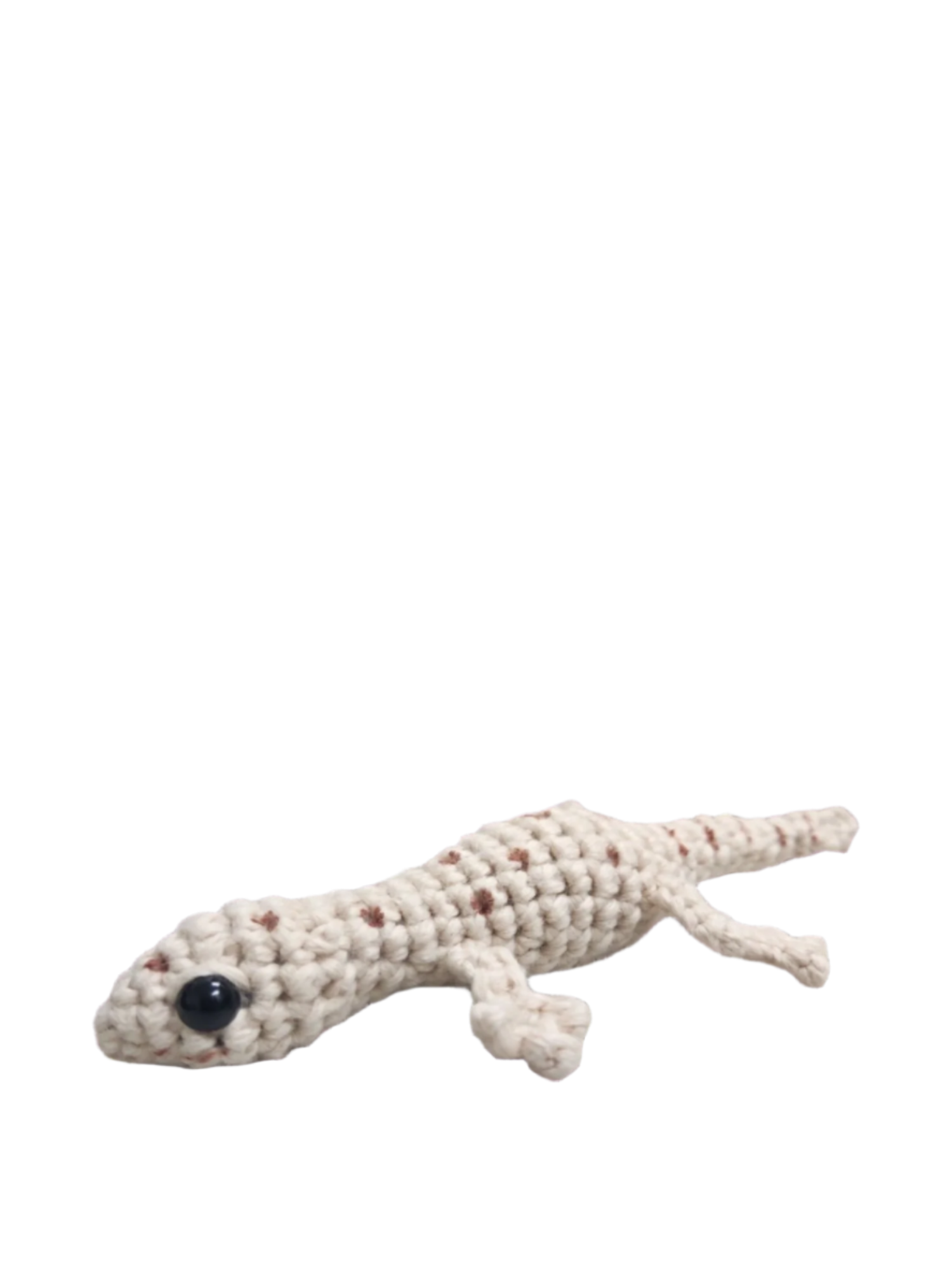 Suzie's Sunshine Dolls - Gary the Gecko
