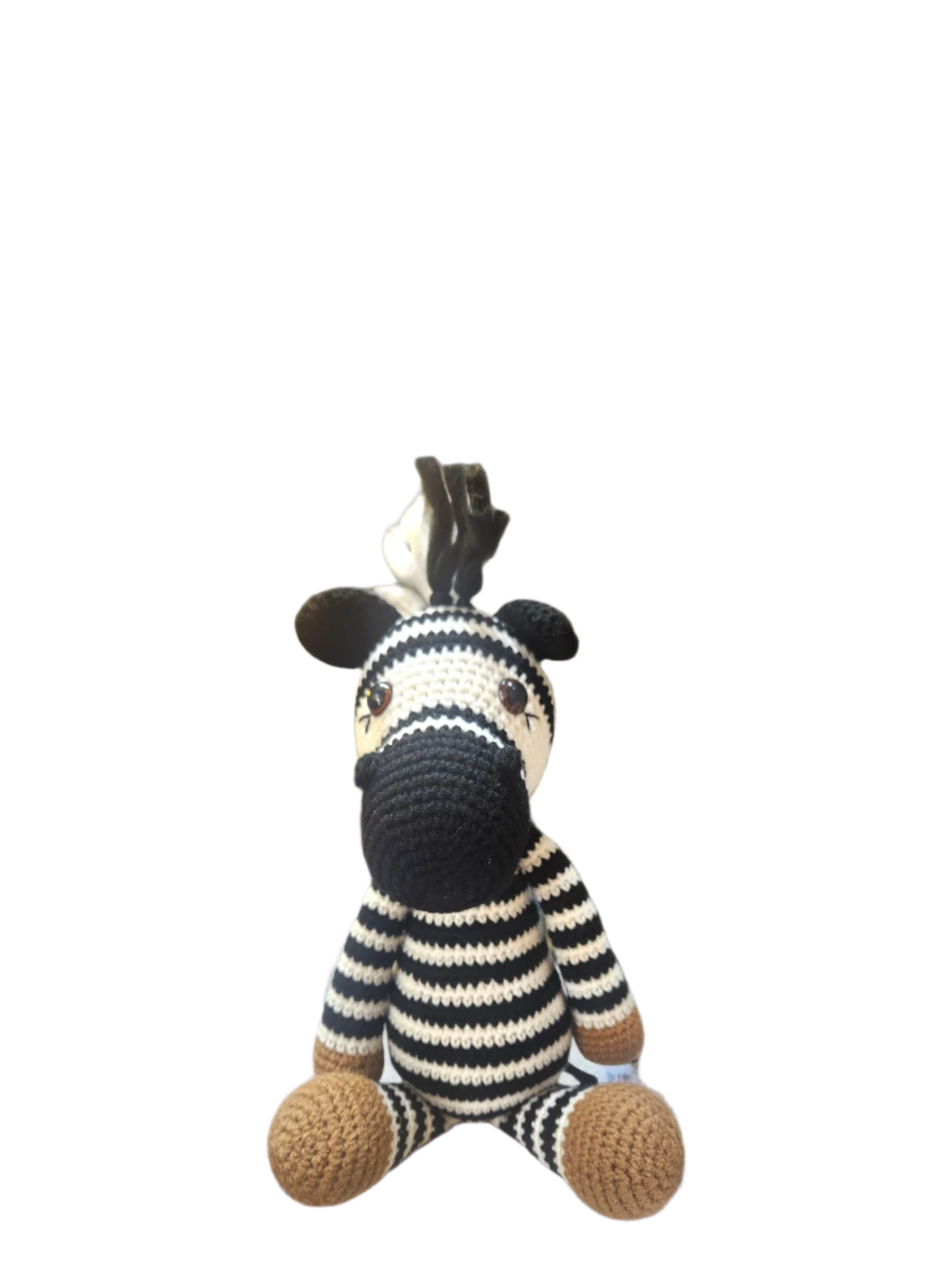 Suzie's Sunshine Dolls - Zac the Zebra