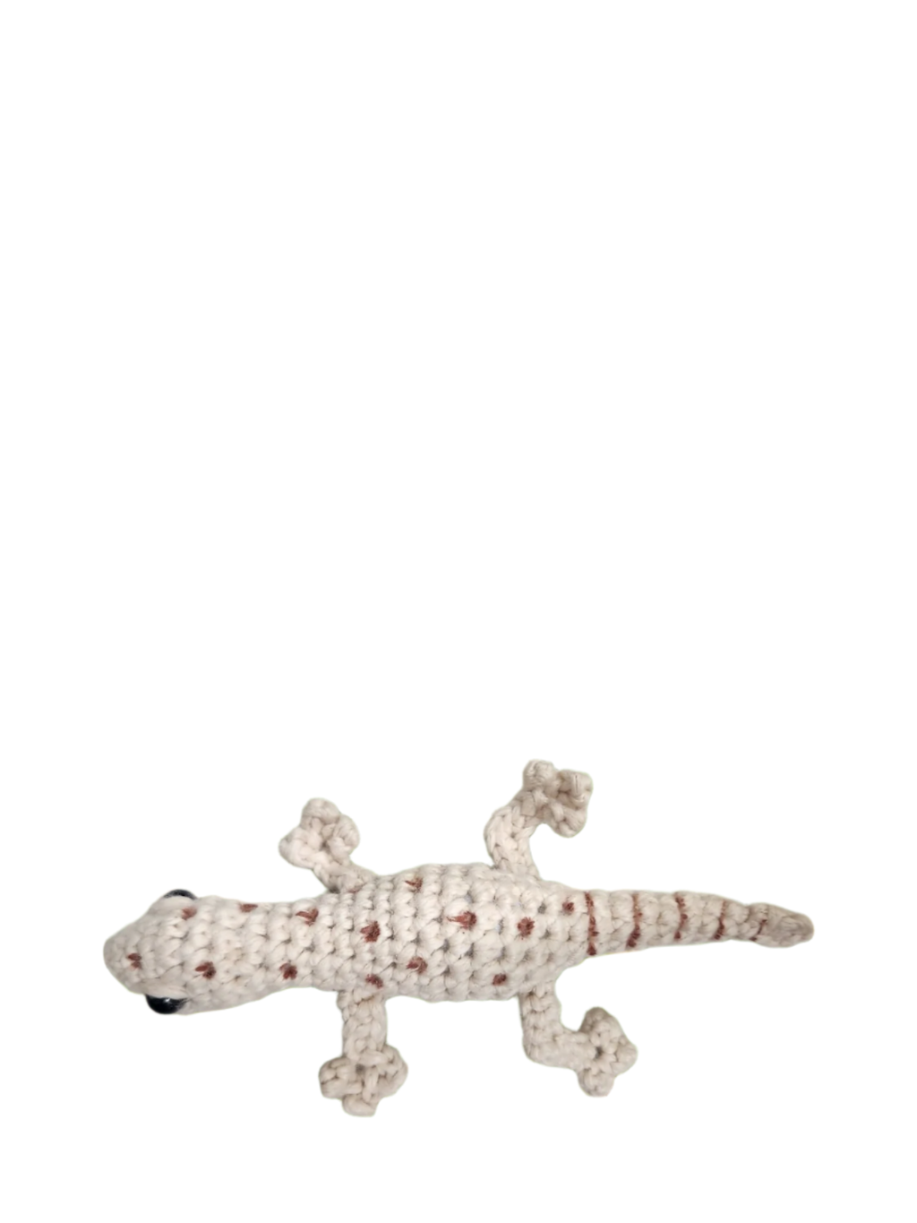 Suzie's Sunshine Dolls - Gary the Gecko