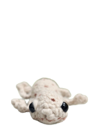 Suzie's Sunshine Dolls - Gary the Gecko