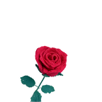 Suzie's Sunshine Dolls - Forever Crochet Rose – A Bloom That Lasts a Lifetime
