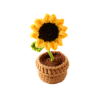 Suzie's Sunshine Dolls - Handcrafted Crochet Flower Pot Collection.