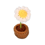 Suzie's Sunshine Dolls - Handcrafted Crochet Flower Pot Collection.