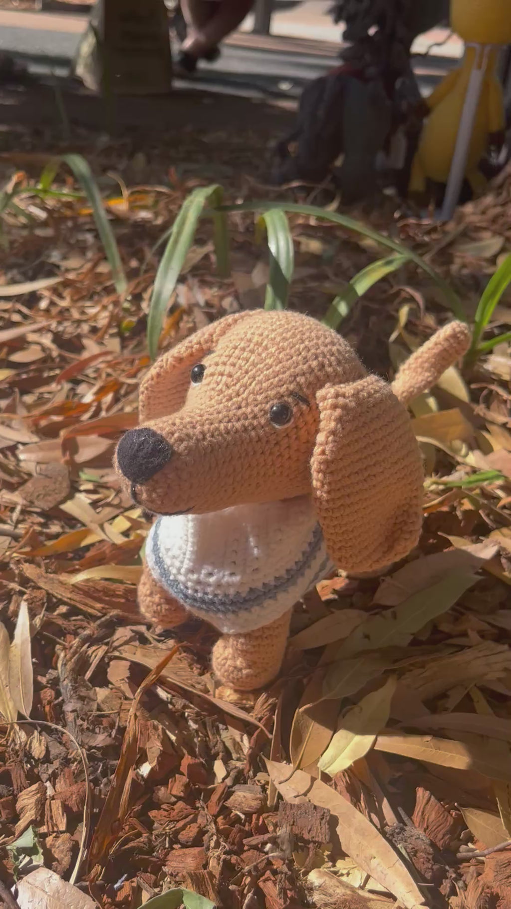 Suzie's Sunshine Dolls - The minature Dashounds