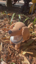 Suzie's Sunshine Dolls - The minature Dashounds
