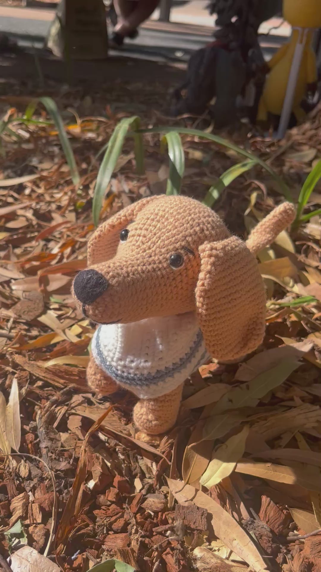 Suzie's Sunshine Dolls - The minature Dashounds
