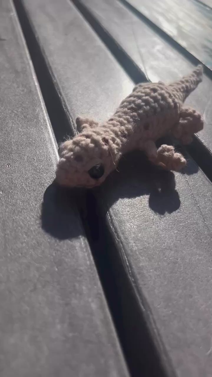 Suzie's Sunshine Dolls - Gary the Gecko