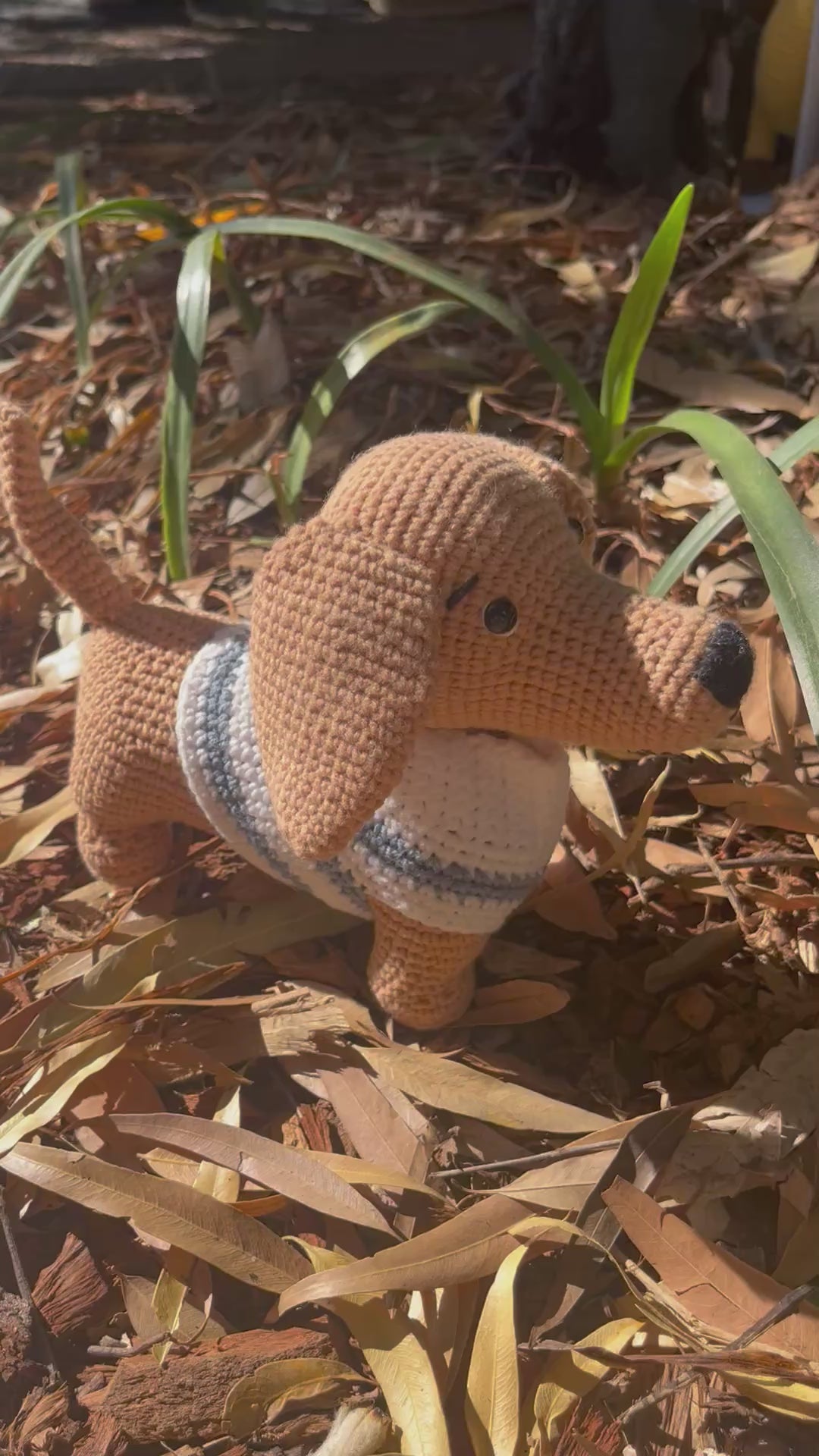 Suzie's Sunshine Dolls - The minature Dashounds