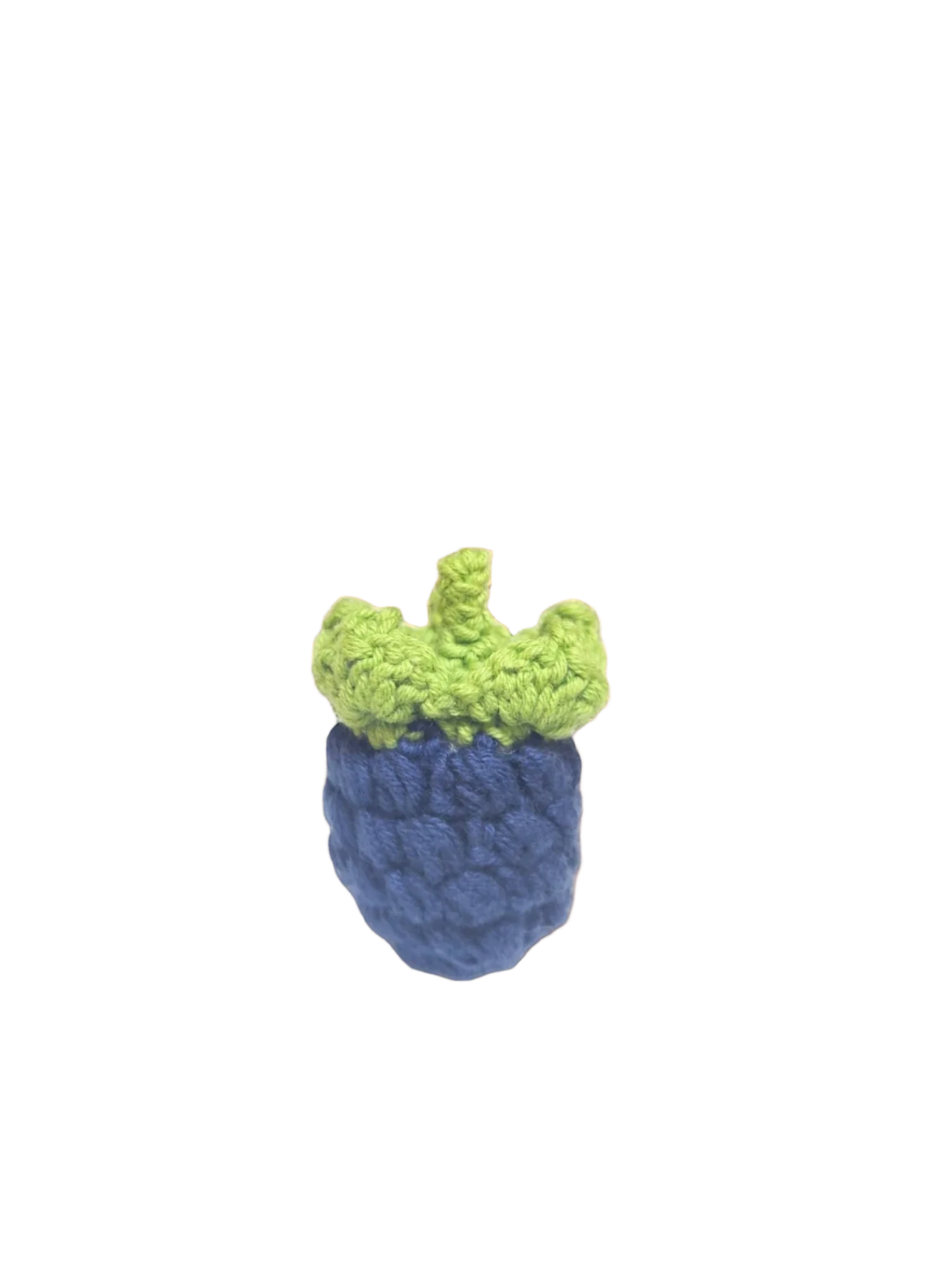 Suzie's Sunshine Dolls hand-crocheted blue berry with green leaves, made of cotton yarn.