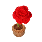 Suzie's Sunshine Dolls red crochet rose in a brown pot, handmade with acrylic yarn.